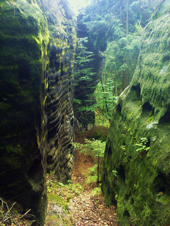 Ubytovani U Potoka Kunratice  Экстерьер фото