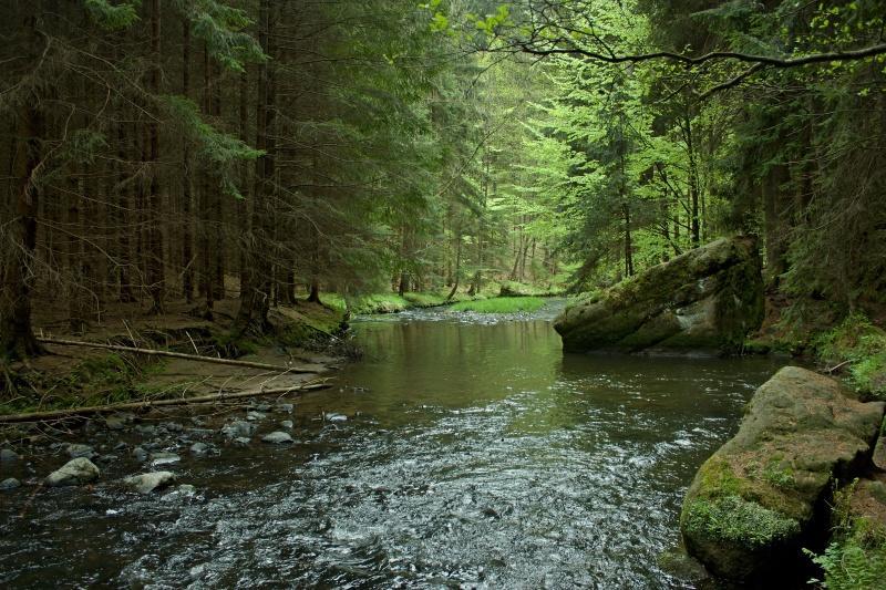 Ubytovani U Potoka Kunratice  Экстерьер фото