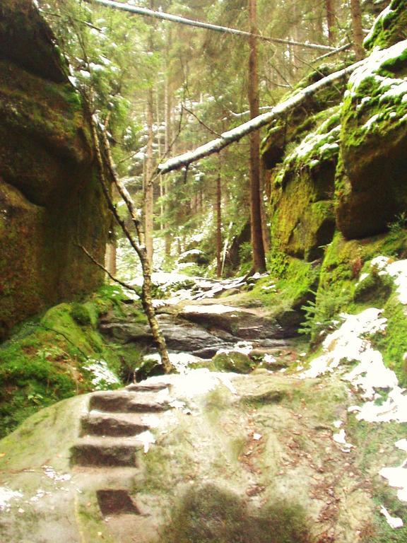 Ubytovani U Potoka Kunratice  Экстерьер фото