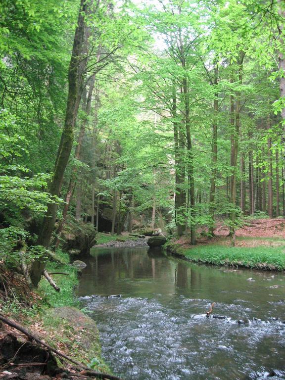 Ubytovani U Potoka Kunratice  Экстерьер фото